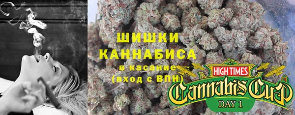 мет Дмитриев