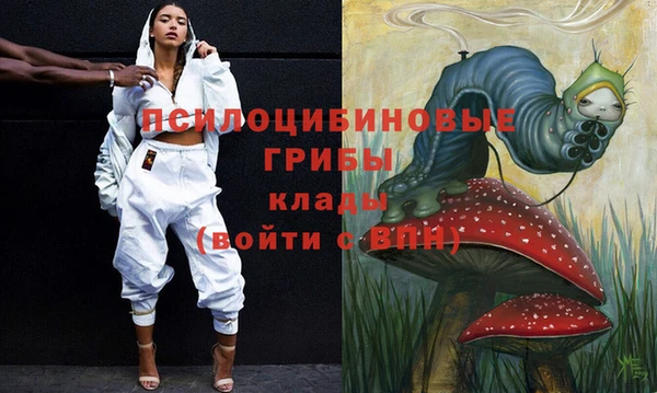 стафф Дмитров