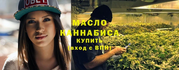 мет Дмитриев