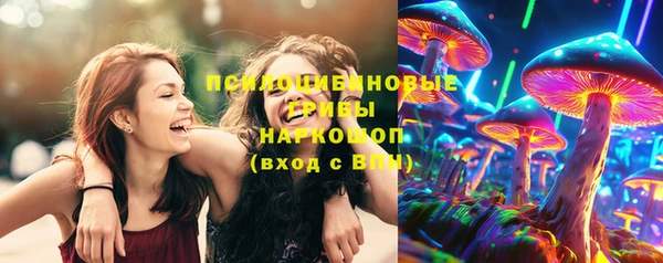 мет Дмитриев