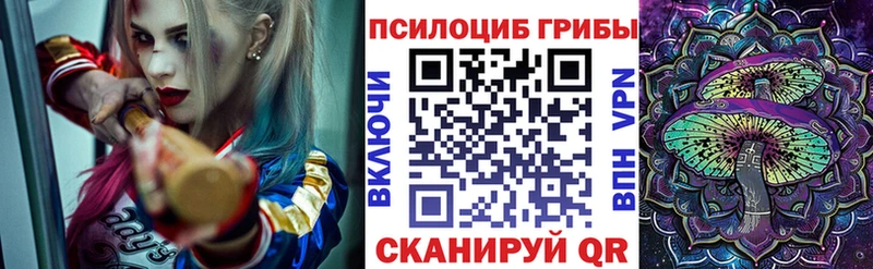 наркотики Ува OMG ссылки Псилоцибиновые грибы Psilocybine cubensis